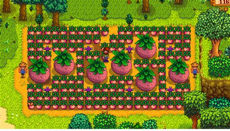 melon stardew|stardew melon season.